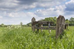 Ontdek de campings waar je in het voorjaar kunt kamperen