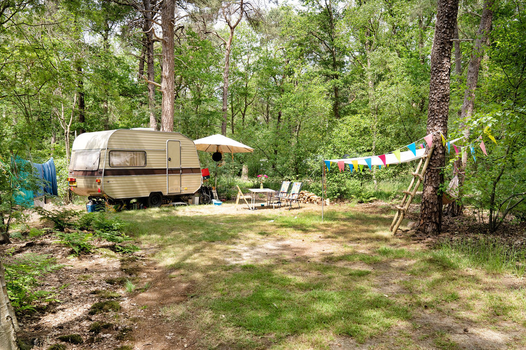 Hippe camping Nederland; 17 kindvriendelijke en unieke locaties in de natuur met veel groen - Reisliefde