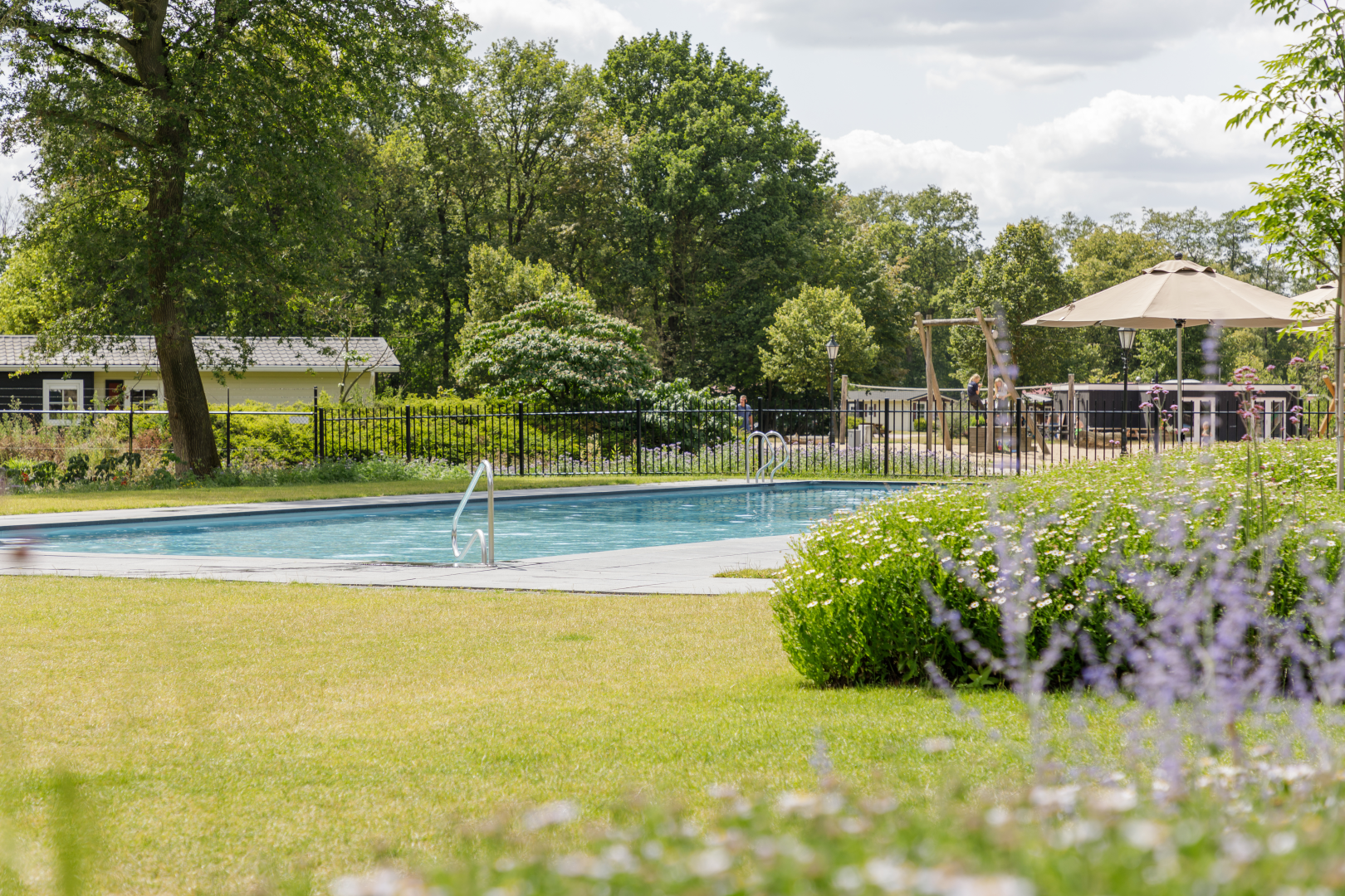 een buitenzwembad met veel groen eromheen. een terras naast het zwembad